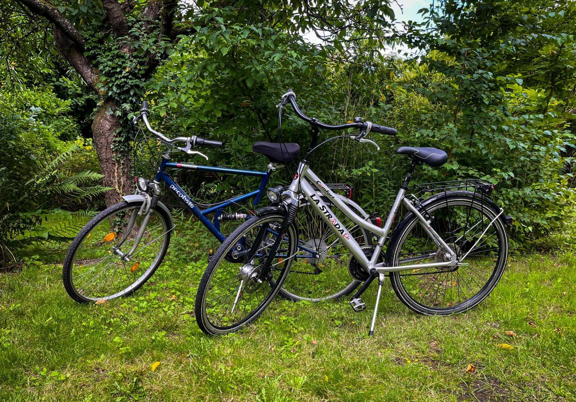 Ferienwohnung Hitzacker/Elbe ภายนอก รูปภาพ