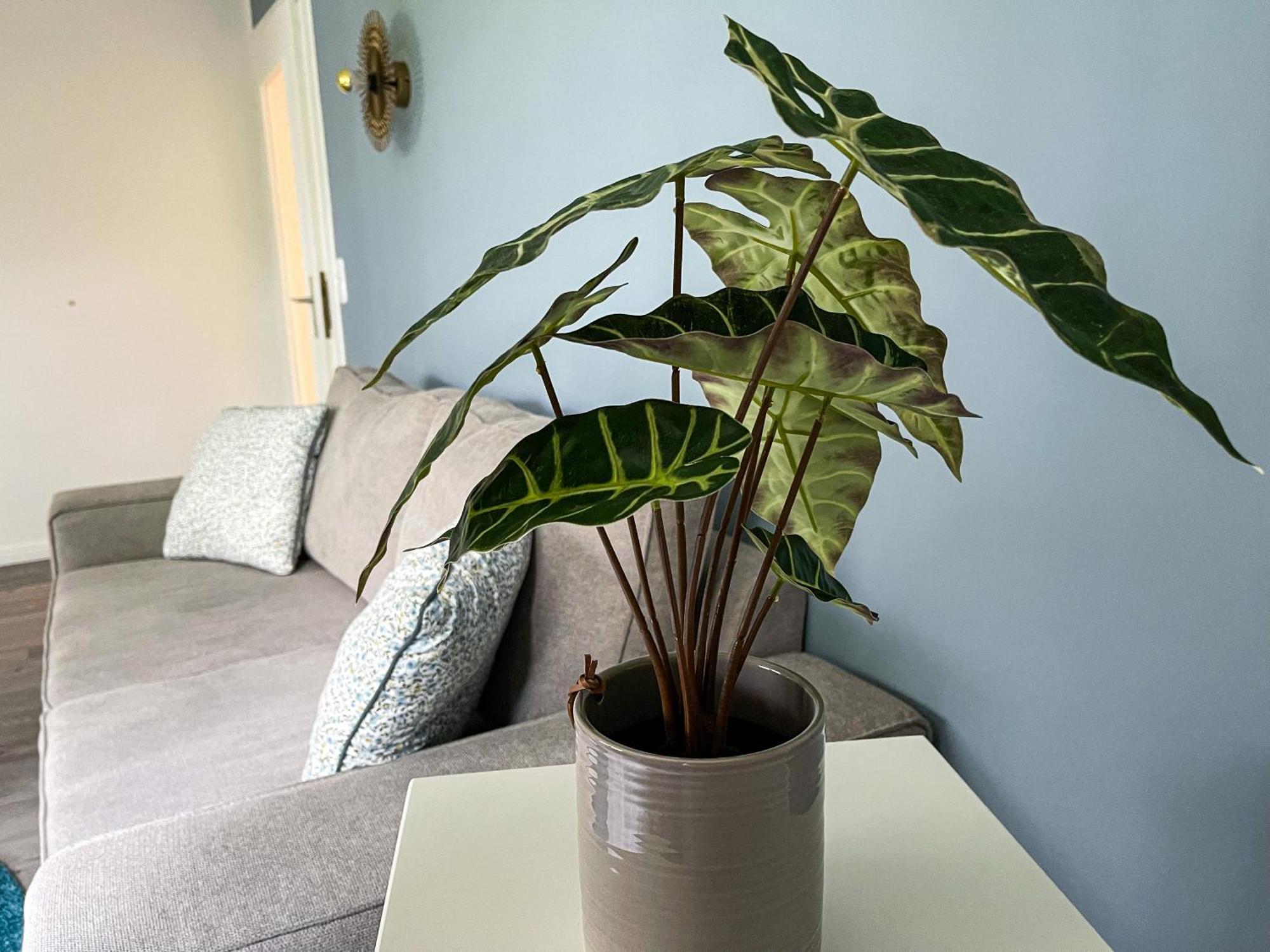 Ferienwohnung Hitzacker/Elbe ภายนอก รูปภาพ